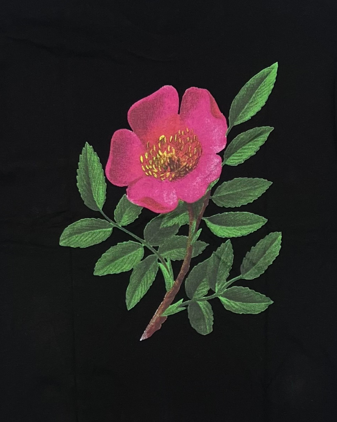 WALDSTATTEN - TSHIRT BIO ALPEN-HECKENROSE BLACK